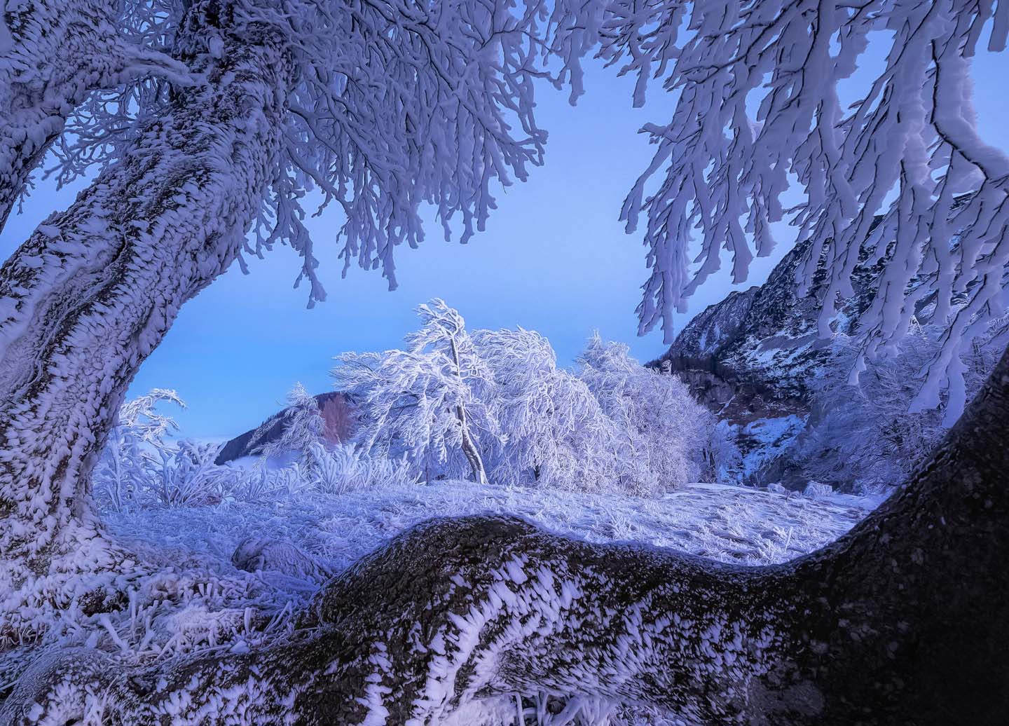 © Ales Krivec, Slovenia, entry, Open Competition, Landscape, 2026 Sony World Photography Awards