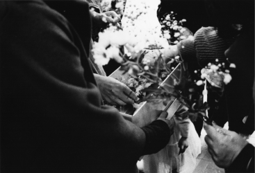 Living Photographs